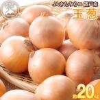 JAきたみらい玉葱 約20kgOTC012