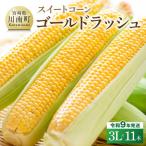 スイートコーン ゴールドラッシュ 3L×11本