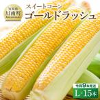 スイートコーン ゴールドラッシュ L×15本