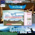 で使える 感謝券 3,000円 分 電子クーポン