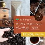エチオピア カッファ マザーツリー ボンガ