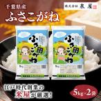 令和8年度産 ふさこがね 10kg