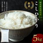 令和8年産 新米 こしひかり5kg 精米 白米