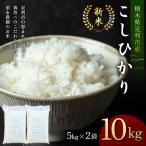 令和8年産 新米 ゆうだい21 10kg〈5kg×2袋〉