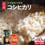 定期便 華越前 無洗米 5kg×12回