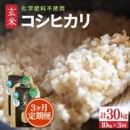 定期便 特別栽培米 コシヒカリ 玄米 10kg×3回