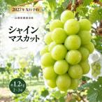 ぶどう シャインマスカット