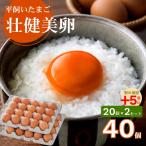 平飼いたまご 三瀬ひなた鶏舎 壮健美卵 35個+割れ保証5個 …