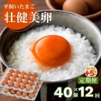 平飼いたまご 三瀬ひなた鶏舎 壮健美卵 35個+割れ保証5個 …
