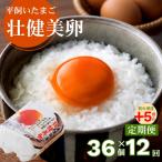 平飼いたまご 三瀬ひなた鶏舎 壮健美卵 6個入り×6パック