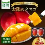 太陽のタマゴ 3L×2玉