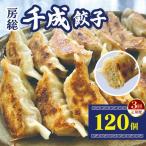 房総千成餃子 冷凍120個 千成餃子 ぎょうざ