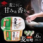 九州麦みそ500g×6個 みそ 麦みそ 原料