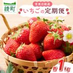 いちご 定期便 合計1kg
