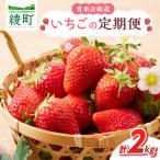 いちご 定期便 合計2kg