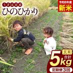 ひのひかり 米 お米 白米 5kg