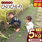ひのひかり 米 お米 白米 5kg