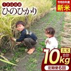 ひのひかり 米 お米 白米 10kg