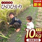 ひのひかり 米 お米 白米 10kg