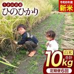 ひのひかり 米 お米 玄米 10kg