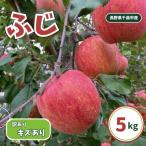 訳あり ふじ キズ有り 約5kg
