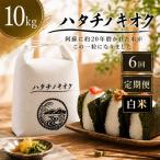 ヒノヒカリ 白米 10kg