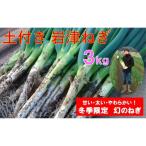 土付き岩津ねぎ3kg 箱入り ◎新鮮 甘い