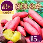 訳あり 紅はるか 無選別 約5kg