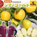 りんご サンふじ みつまるくん &シナノゴールド 約5kg