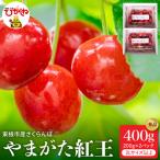 2027年産 さくらんぼ やまがた紅王 秀品 400g