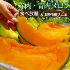 タカミメロン 食べ放題 30分 お持ち帰り