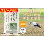 新米 六方たんぼ コシヒカリ 減農薬 白米:5kg