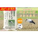 新米 六方たんぼ コシヒカリ 減農薬 白米:10kg