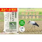 新米 六方たんぼ コシヒカリ 農薬不使用 白米:5kg