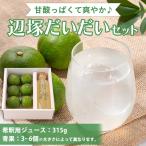 辺塚だいだい希釈用ジュースと青果のセット