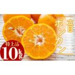 立目 ぽんかん みかん 柑橘 特上品 10kg