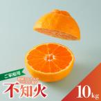 不知火 10kg