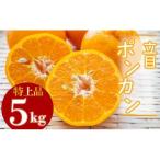 立目ぽんかん 5kg