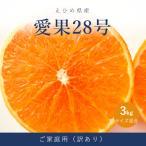 愛果28号 紅まどんな と同品種 訳あり 3kg