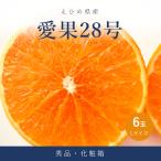愛果28号 紅まどんな と同品種 秀品 Lサイズ 6玉