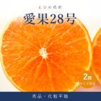 愛果28号 紅まどんな と同品種 化粧平箱 2箱