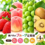 フルーツ定期便 旬のフルーツ