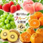 フルーツ定期便 旬のフルーツ