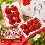 あまおう イチゴ 2パック