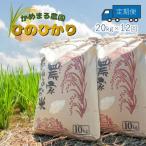 かめまる農園 ひのひかり 20kg×12回
