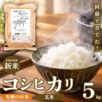 R8年産 阿蘇で育てた有機のお米 コシヒカリ