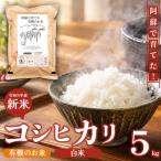 R8年産 阿蘇で育てた有機のお米 コシヒカリ