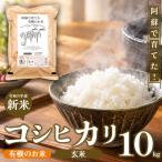 R8年産 阿蘇で育てた有機のお米 10kg