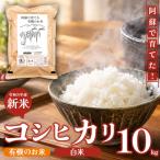 R8年産 阿蘇で育てた有機のお米 10kg
