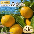 温州みかん 2S~2L 約3kg